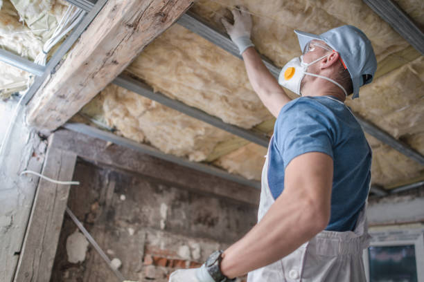 Best Insulation Removal Services  in Colleyville, TX