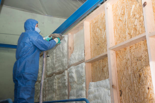 Best Insulation Repair Services  in Colleyville, TX
