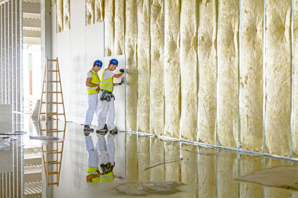 Best Insulation Contractor Near Me  in Colleyville, TX